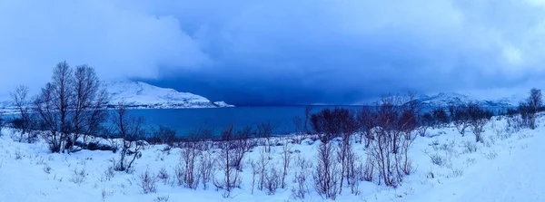 Paisaje Invierno Isla Kvaloya Noruega —  Fotos de Stock
