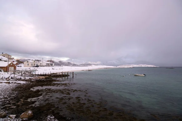 Paysage Hivernal Sandneshamn Sur Île Kvaloya Norvège — Photo