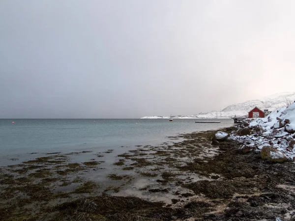 Paesaggio Invernale Sandneshamn Sull Isola Kvaloya Norvegia — Foto Stock