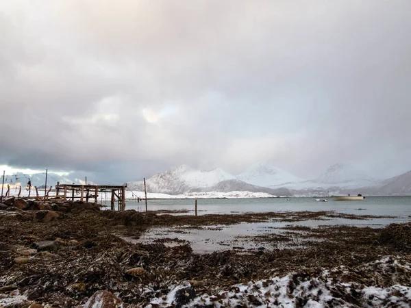 Paysage Hivernal Sandneshamn Sur Île Kvaloya Norvège — Photo