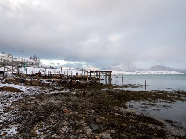 Lanskap Musim Dingin Sandneshamn Pulau Kvaloya Norwegia — Stok Foto