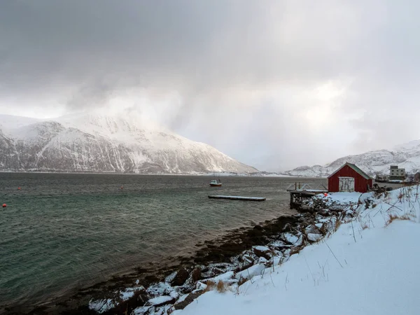 Tájkép Télen Sandneshamnban Norvégiai Kvaloya Szigeten — Stock Fotó