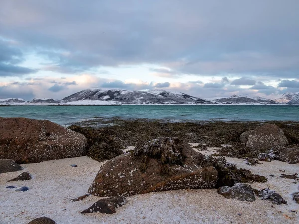 Krajobraz Zimą Sandneshamn Wyspie Kvaloya Norwegii — Zdjęcie stockowe