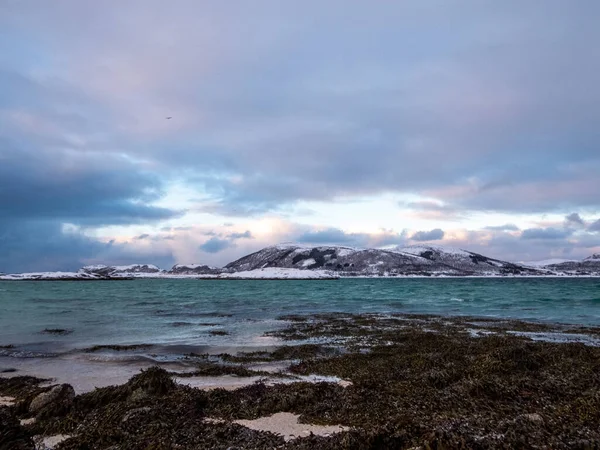 Lanskap Musim Dingin Sandneshamn Pulau Kvaloya Norwegia — Stok Foto