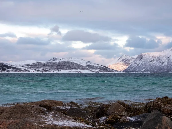 Landskap Vintertid Sandneshamn Kvaloya Norge — Stockfoto