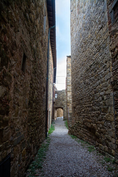 Panzano in Chianti is a city in the commune Greve in the Italian region of Tuscany near to Florence.