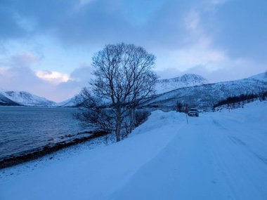 Kışın Norveç 'te Kvaloya adasında yol.