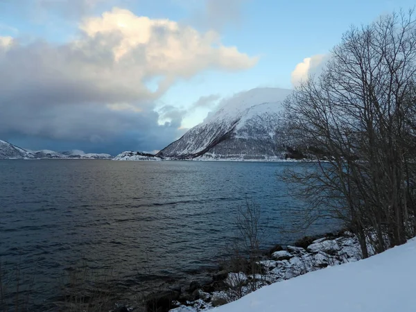 Paisagem Inverno Oon Ilha Kvaloya Noruega — Fotografia de Stock