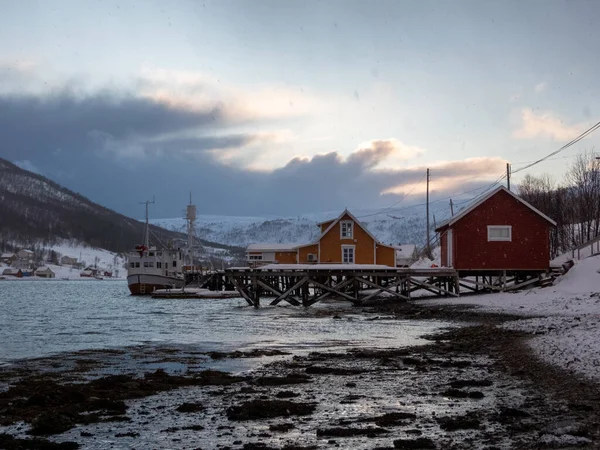 Fiorde Inverno Ilha Kvaloya Noruega — Fotografia de Stock