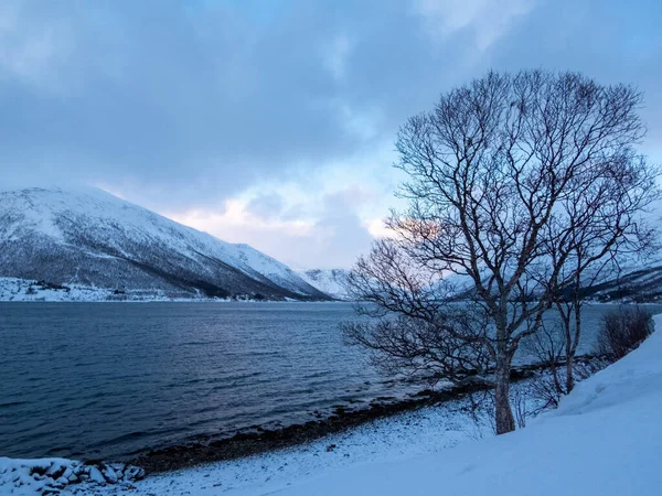 Paisaje Invierno Isla Kvaloya Noruega — Foto de Stock