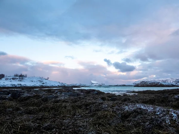 Paisagem Inverno Oon Ilha Kvaloya Noruega — Fotografia de Stock