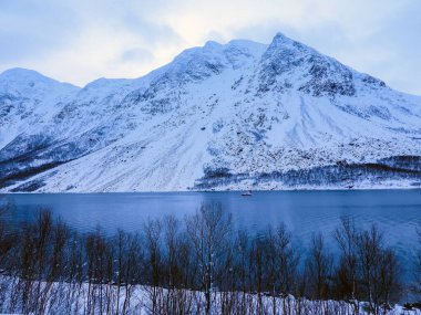 Kjosen 'de Kvaloya adasında kış Kaldfjord, Norveç' te.