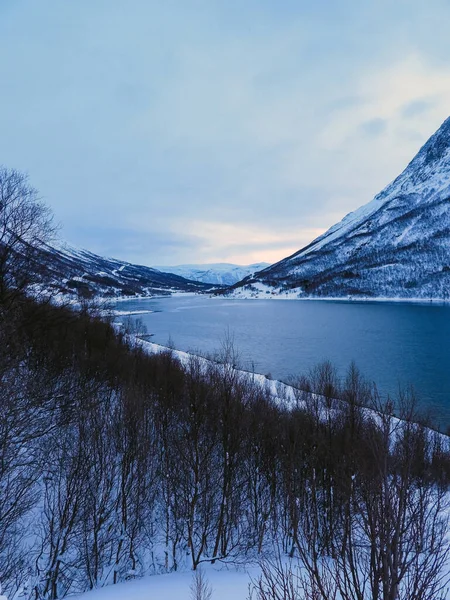 Zima Kjozenu Ostrově Kvaloya Kaldfjordu Norsko — Stock fotografie