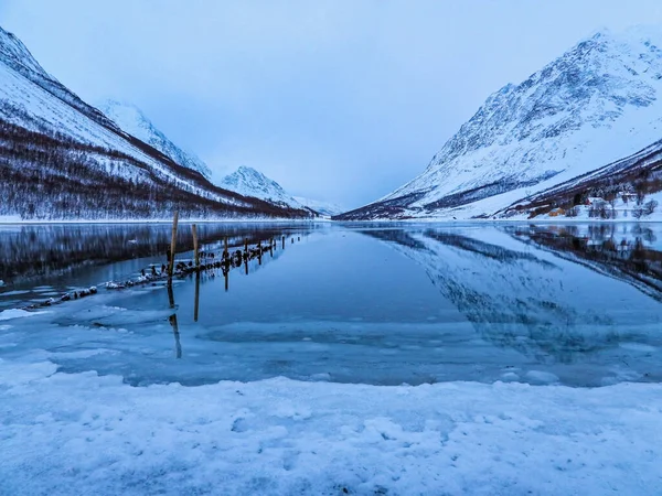 Winter Kjosen Het Eiland Kvaloya Het Kaldfjord Noorwegen — Stockfoto