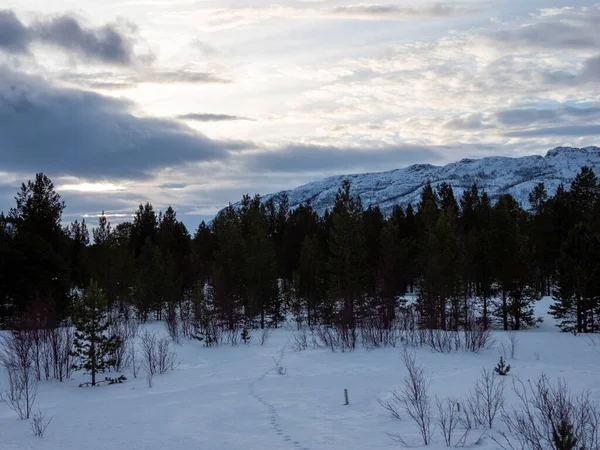 Troms Finnmark Condado Norte Noruega Que Foi Criado Janeiro 2020 — Fotografia de Stock