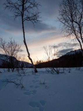 Troms og Finnmark, Norveç 'in kuzeyinde 1 Ocak 2020 tarihinde kurulmuş bir ilçe..