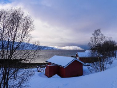 Norveç 'teki Kvaloya adasında kışın manzara.