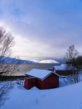 Norveç 'teki Kvaloya adasında kışın manzara.