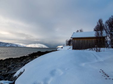 Norveç 'teki Kvaloya adasında kışın manzara.