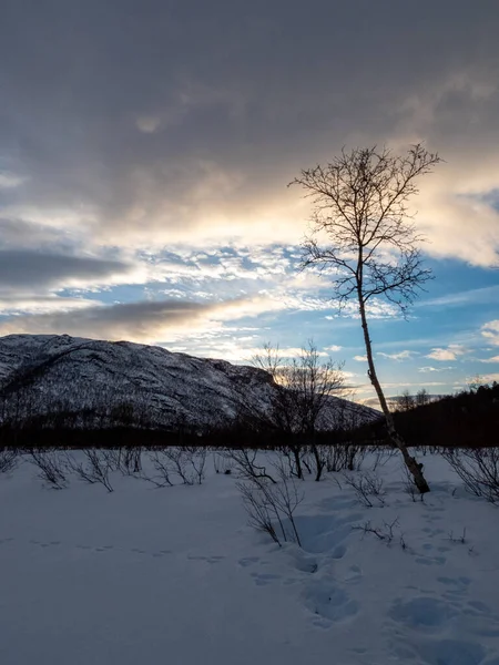 Mattisvannet Adalah Sebuah Danau Dekat Kafjord Norwegia — Stok Foto