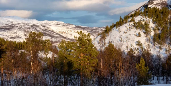 Troms Finnmark Condado Norte Noruega Que Foi Criado Janeiro 2020 — Fotografia de Stock