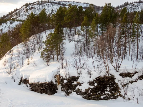 Troms Finnmark Condado Norte Noruega Que Foi Criado Janeiro 2020 — Fotografia de Stock