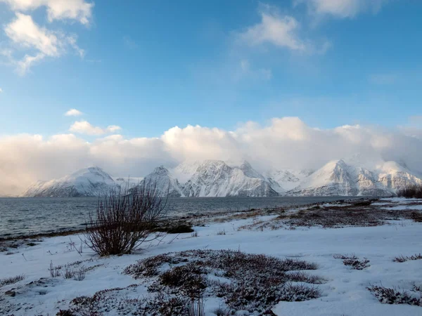 Пейзаж Коммуне Кафьорд Норвегии Зимой — стоковое фото