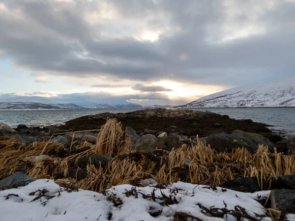 Landschap Winter Het Eiland Kvaloya Noorwegen — Stockfoto