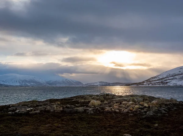 Norveç Teki Kvaloya Adasında Kışın Manzara — Stok fotoğraf
