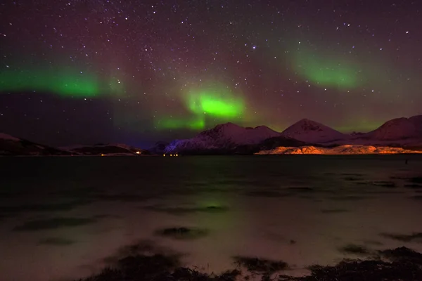 Lanskap Musim Dingin Sandneshamn Pulau Kvaloya Norwegia — Stok Foto