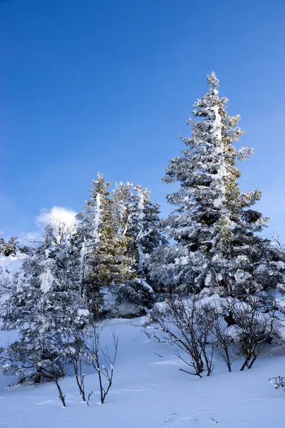 Kampenwand, Baviera, Germania — Foto Stock