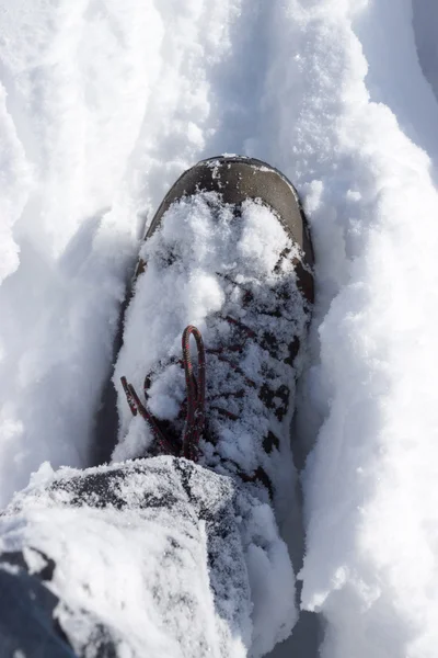 Chaussure dans la neige — Photo