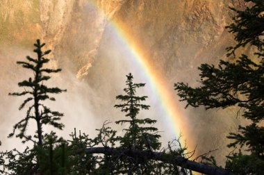 Yellowstone Ulusal Parkı, ABD