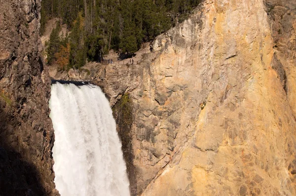 Yellowstonen kansallispuisto, Yhdysvallat — kuvapankkivalokuva