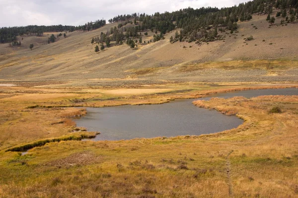 Parque Nacional de Yellowstone, Estados Unidos — Foto de Stock