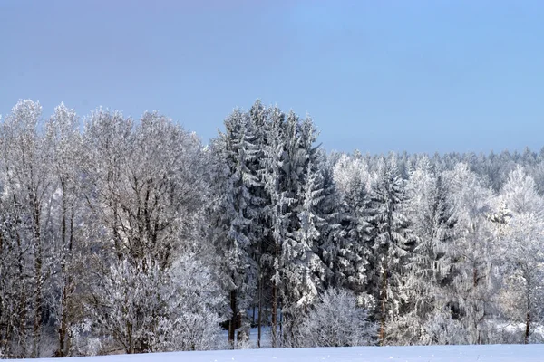 Ica Age in Muehlberg, Bavaria, Germany — Stock Photo, Image