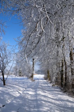 ICA yaş Muehlberg, Bavyera, Almanya