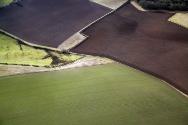 alanlar ve çayırlar