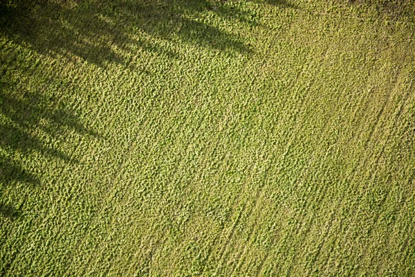 Felder und Wiesen — Stockfoto