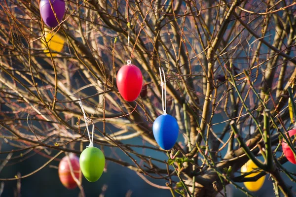 Ostern — Stockfoto