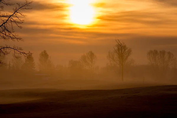 Morning Fog — Stock Photo, Image