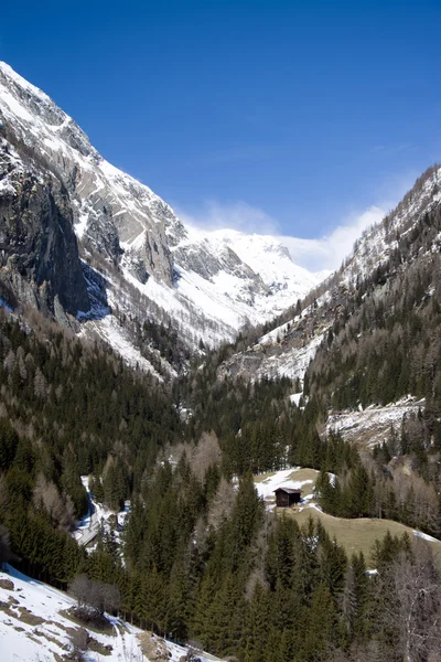 Valley Dorfer, Tirol Oriental, Áustria — Fotografia de Stock