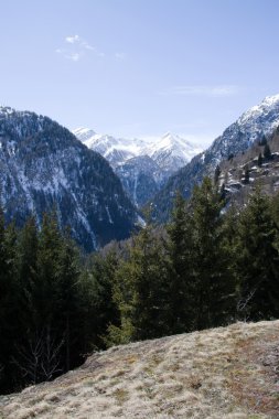 Dağ Dreiherrenspitze, East Tyrol, Avusturya