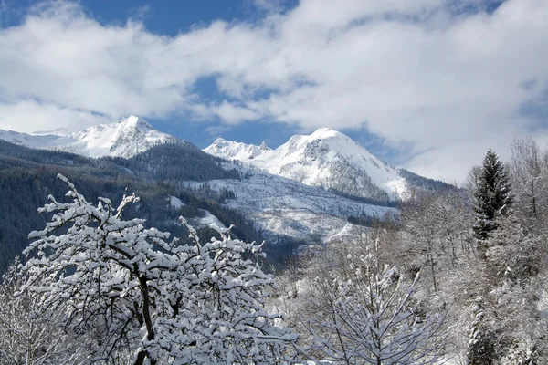 Pinzgau, Áustria — Fotografia de Stock