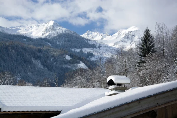 Pinzgau, Austria — Stock Photo, Image