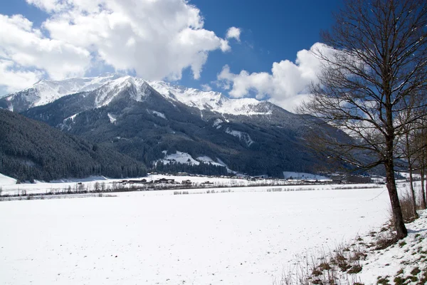 Pinzgau, Austria — Foto Stock