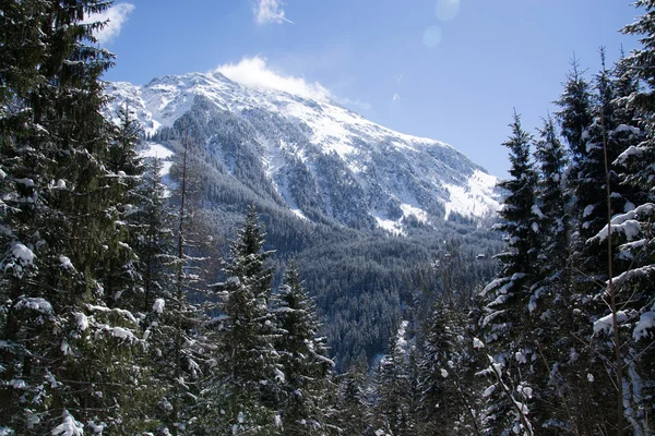 Pinzgau, Áustria — Fotografia de Stock