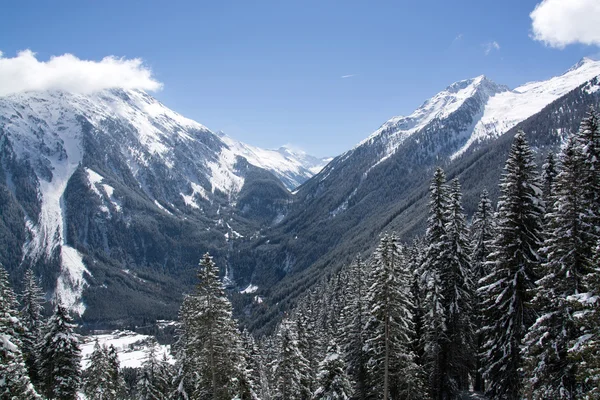 Şelale Krimml, Pinzgau, Avusturya — Stok fotoğraf