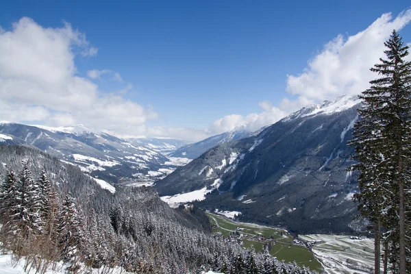 Pinzgau, オーストリア — ストック写真