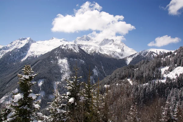 Pinzgau, Áustria — Fotografia de Stock